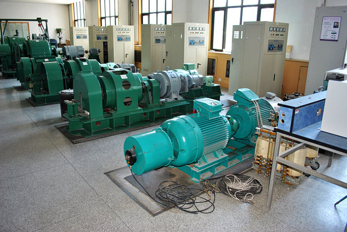 林芝某热电厂使用我厂的YKK高压电机提供动力